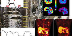 SYNTHESIS AND QUALITY CONTROL ON NEW PET TRACERS – 3 a 7 de outubro de 2016 – SP